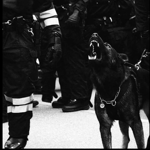 八卦海AV高清在线播放
